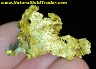 8.65 Gram 16 to 1 Gold Mine CA. Gold Specimen