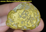 49.05 G. Nevada County California Gold-Quartz