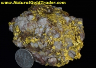 299.85 G Australia Giant Gold & Quartz Specimen