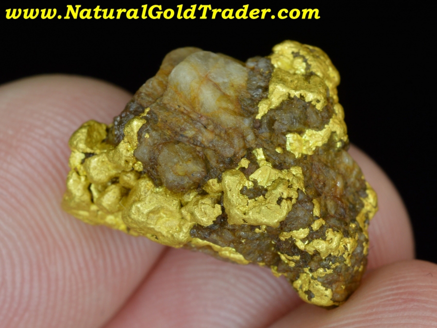 13.38 Gram Northern Nevada Gold & Quartz Specimen
