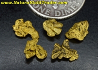 1.98 Grams (5) Chicken Alaska Gold Specimens 