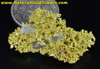 4.30 Gm. Boise County Idaho Crystallized Gold