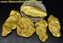 .51 ozt.+ 16.02 Grams (5) Alaskan Gold Nuggets