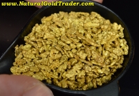 31.1 G. #12 M. Jefferson Montana Gold Nuggets