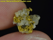 0.56 Gram Idaho Gold & Quartz Specimen