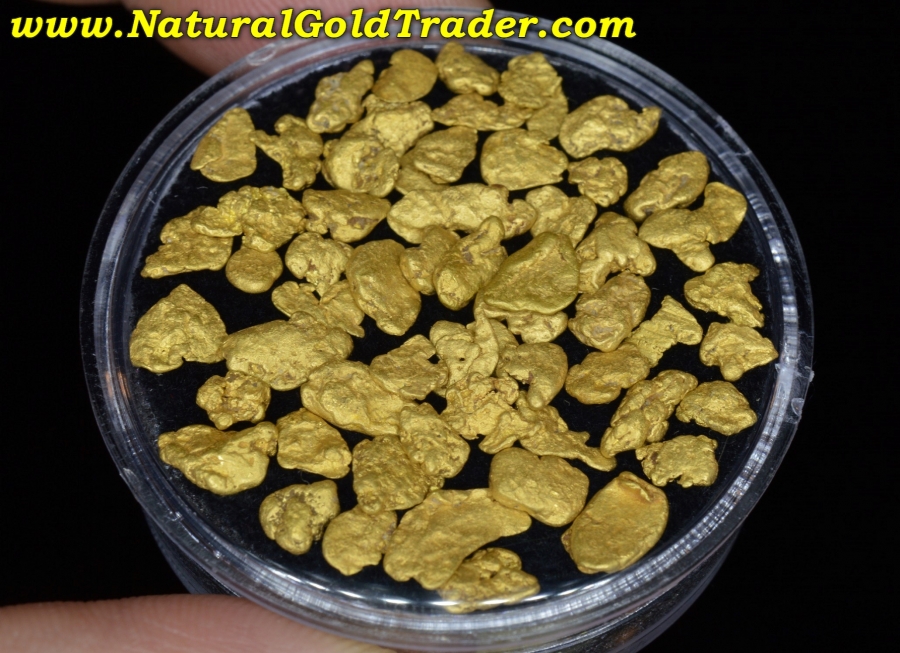 12.76 Grams (58) Eastern Oregon Placer Gold Nuggets