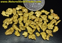 9.86 Grams Plumas Co. California Gold Nuggets