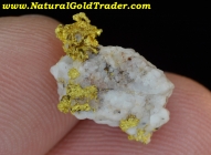 1.55 G. Mariposa County California Gold/Quartz
