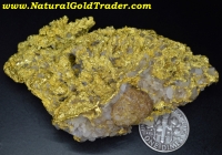 153.5 Gram Esmeralda Nevada Gold Specimen