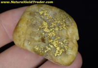 47.4 Gram Idaho Gold & Quartz Specimen
