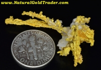 6.67 Gram Mariposa CA. Insane Crystallized Gold 
