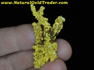 High Grade Natural Crystalline Gold Nuggets And Mineral Specimens For Sale.