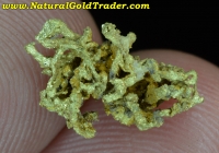 1.12 G. Belshazzar Mine Idaho Gold Specimen