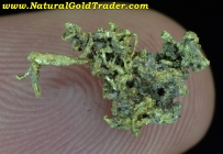 .83 G. Belshazzar Mine Idaho Gold Specimen