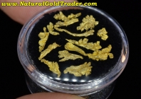 1.55 Grams (14) Butte Montana Gold Crystals