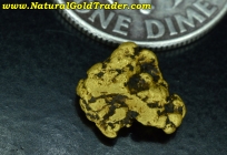 .85 G Kingman Arizona Chunky Gold Nugget