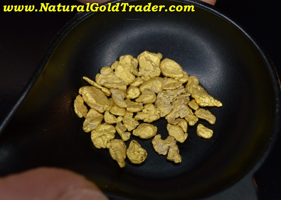 3.05 Grams of Ophir MD Montana Gold Flakes & Pickers