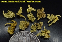 2.06 Grams (10) Idaho Wire-Gold Specimens 