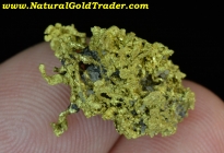 5.22 G. Belshazzar Mine Idaho Gold Specimen