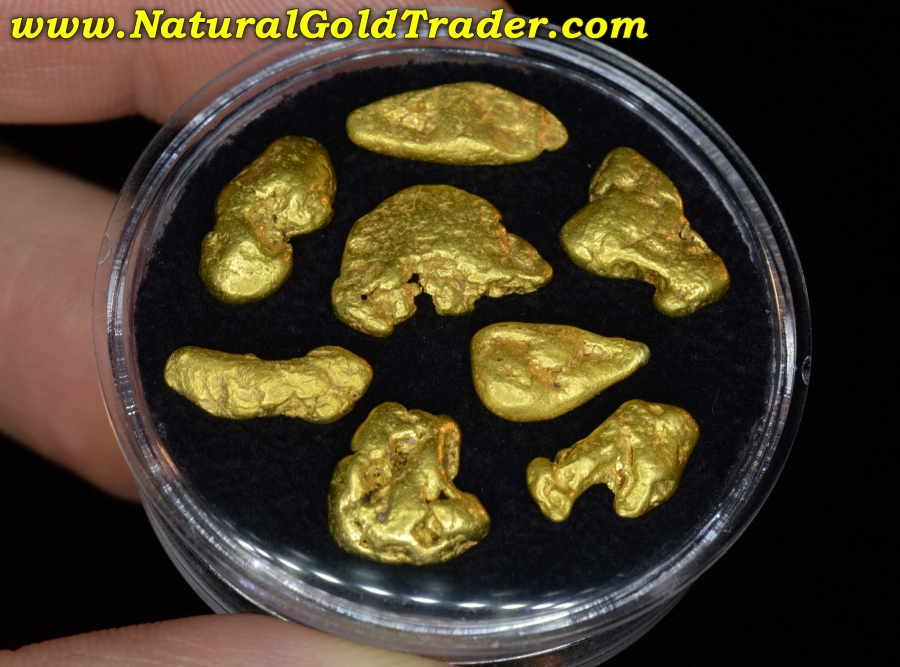 50 ozt.+ 15.70 Grams (8) Eastern Oregon Gold Nuggets