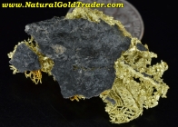 7.52 G. Liberty WA Rare Stunning Gold Specimen