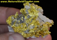 80.32 Gram 16 to 1 Mine CA. Crystallized Gold