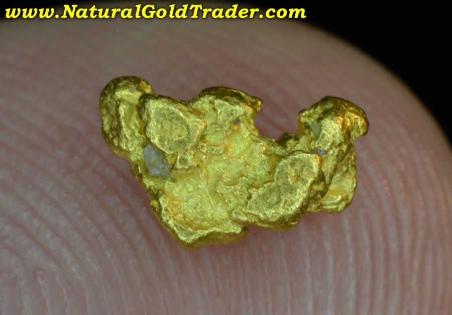 .60 Gram Northern Nevada Natural Gold Nugget