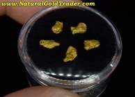 1.02 Grams (5) Alaskan Placer Gold Nuggets