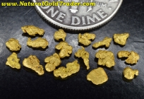 1 Gram Gold Helena Montana Paydirt Bag
