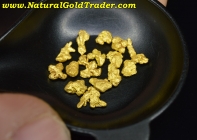 2 Gram Helena Montana Picker Pay-Dirt Bag!