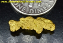 1.65 G. Natural Nevada Elongated Gold Nugget