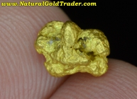 1.56 G. Chunky & Pure Nevada Gold Nugget