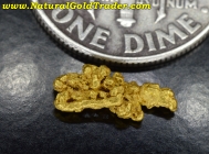 .35 G. Helena Montana Natural Gold Specimen
