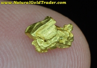 .55 G. Chicken District Alaska Gold Specimen 