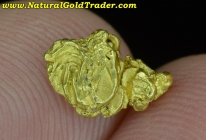 .69 Gm. Chicken Alaska Natural Gold Specimen