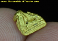 1.04 G. Chicken Alaska Hoppered Gold Nugget