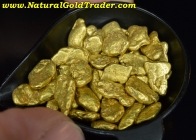 1 ozt. 31.1 G. (50) AK. S-Dredged Gold Nuggets
