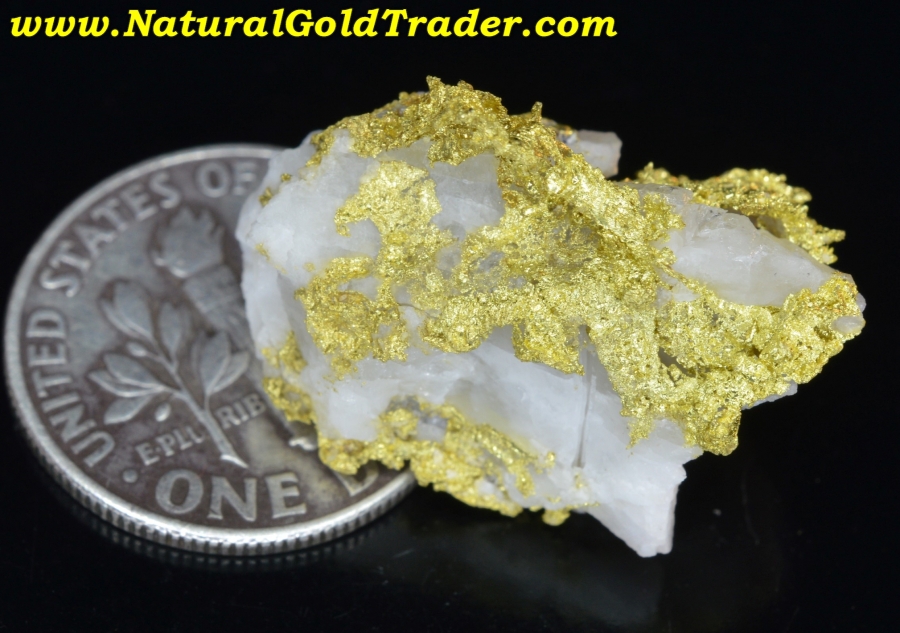 4.60 Gram Carson Hill California Calaveras Gold & Quartz Nugget