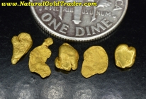 .88 G. (5) Plumas County California Gold Nuggets