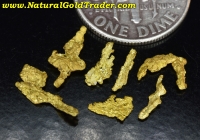 .90 G. (7) Mt. McKinley Alaska Gold Specimens