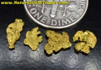 1.05 Gm. (4) Kantishna Dist. AK. Gold Nuggets
