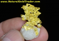 8.75 G California Eagles Nest M. Gold Specimen