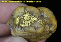 59.70 Gram Boise Basin Idaho Gold & Quartz