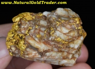 147.60 Gram Stanton Arizona Gold & Quartz