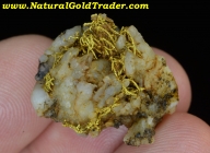 5.89 G. Insane Oregon Wire Gold & Quartz