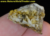 6.15 G Grant Co. Oregon Gold & Quartz Crystals