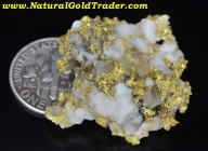 15.65 Gram California 16-1 Mine Gold/Quartz