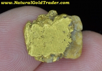 4.75 G Calaveras County Gold Nugget w-Quartz