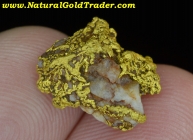 3.32 Gm. Coloma CA. Gold & Quartz Specimen