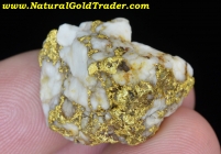 17.0 Gram Mariposa CA. Gold & Quartz Specimen